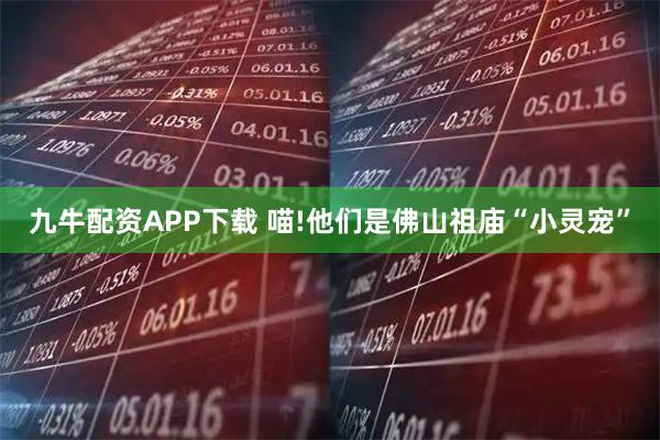 九牛配资APP下载 喵!他们是佛山祖庙“小灵宠”