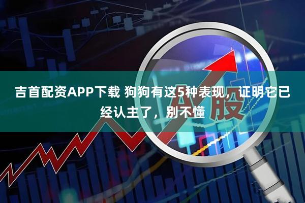 吉首配资APP下载 狗狗有这5种表现，证明它已经认主了，别不懂