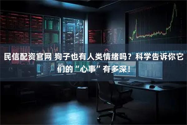 民信配资官网 狗子也有人类情绪吗？科学告诉你它们的“心事”有多深！