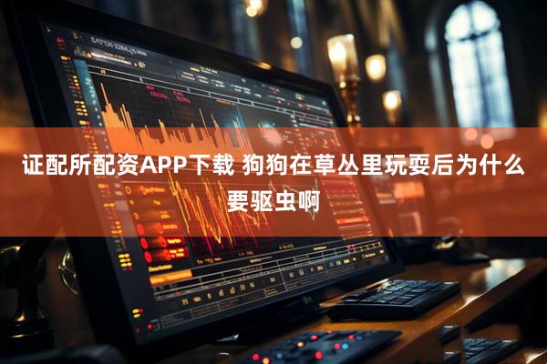 证配所配资APP下载 狗狗在草丛里玩耍后为什么要驱虫啊