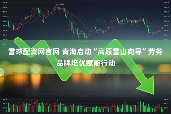 雪球配资网官网 青海启动“高原雪山向导”劳务品牌培优赋能行动